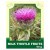 Milk Thistle Fruits 50 g
