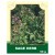 Sage Herb 50g
