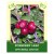 Foxberry Leaf 35g