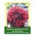 Rhodiola Quadrifida Root 25g