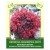 Rhodiola Quadrifida Root 25g