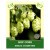 Hop Cone 30g
