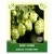 Hop Cone 30g