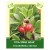 Uva Ursi Leaf 100g