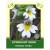 Eyebright Herb 50g