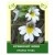 Eyebright Herb 50g