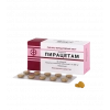 Piracetam tablets 200 mg No. 60