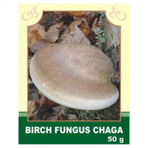 Birch Fungus Chaga 50g