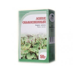 Burdock Root