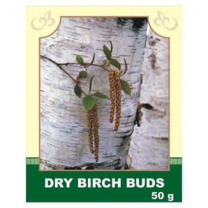 Dry Birch Buds