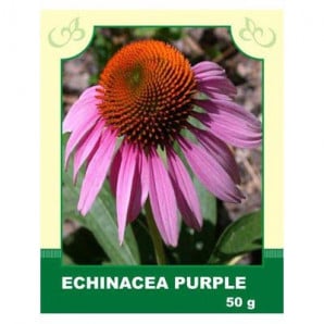 Echinacea Purple 50g