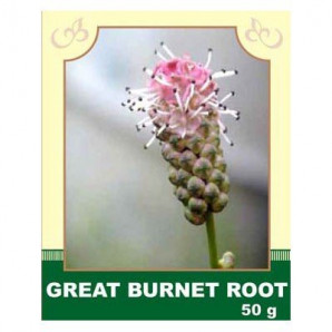 Great Burnet Root 50g