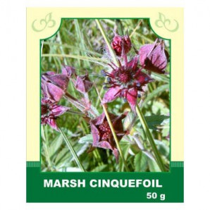 Marsh Cinquefoil 50g