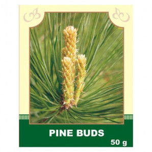 Pine Buds 50g
