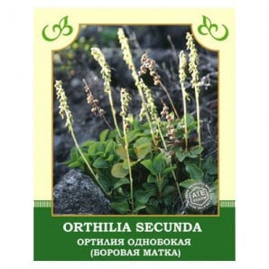 Orthilia Secunda 25g