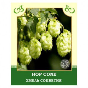 Hop Cone 30g
