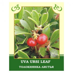 Uva Ursi Leaf 100g