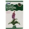 Красный Корень