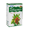 Плоды Боярышника