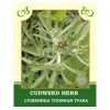 Сушеница топяная трава