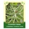 Сушеница топяная трава