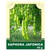 Сафора Японская