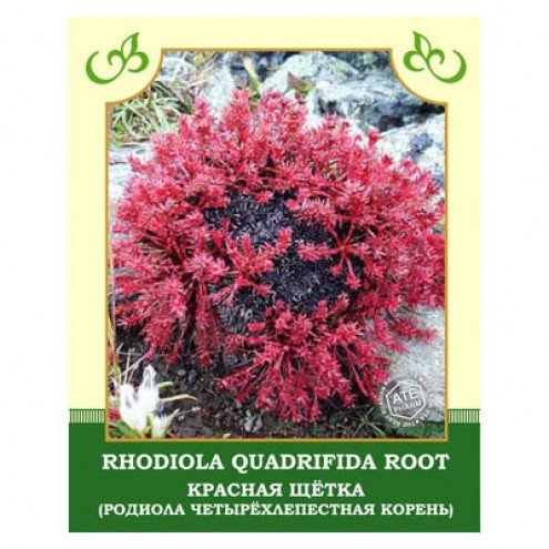 Красная щетка