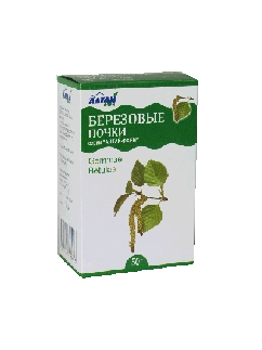 Березовые Почки