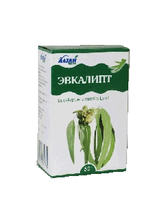 Листья Эвкалипта