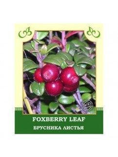 Брусники листья