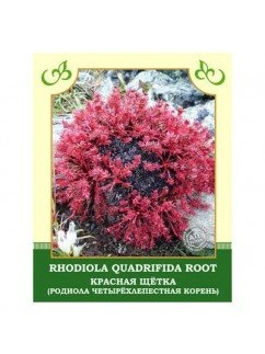 Красная щетка