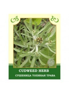 Сушеница топяная трава
