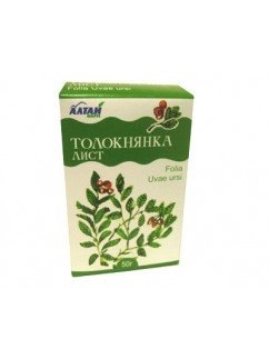 Толокнянка листья