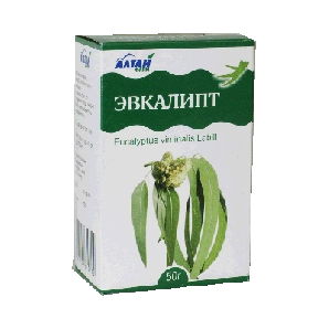 Листья Эвкалипта