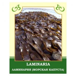 Ламинария (морская капуста)