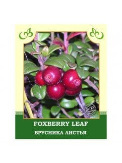 Брусники листья