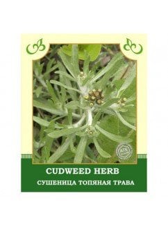 Сушеница топяная трава