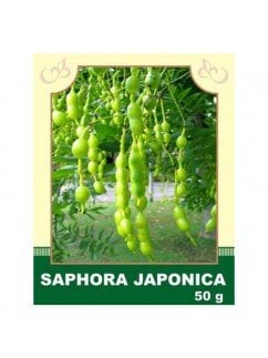 Сафора Японская