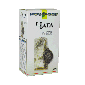 Березовый гриб чага