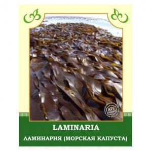 Ламинария (морская капуста)
