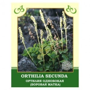 Ортилия однобокая (Боровая матка) 25g