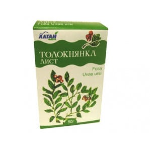 Толокнянка листья